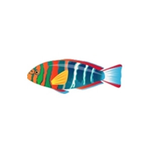 Rainbow Fish